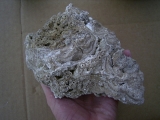 Stromatolithen - mittlere Stufe, naturbelassen