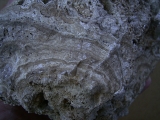 Stromatolithen - mittlere Stufe, naturbelassen