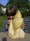 Riesige Schnecke