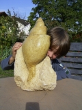 Riesige Schnecke