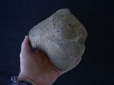 Mammoth Epiphysis