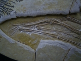 Flugsaurier - Pterodactylus - Reproduktion