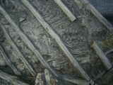 Ichthyosaurus mit zwei gefressenen Fischen im Bauch
