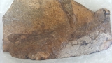 Frog and fish on one stone