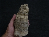 Stromatolithen-Stufe