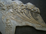 Ichthyosaurus Skelett aus Holzmaden