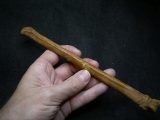 Flugsaurier Mittelhand-Knochen