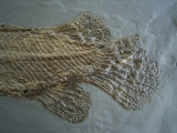 Knochenhecht aus der Grube Messel