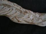 Tethysaurus mit Fisch im Maul