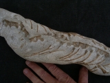 Tethysaurus mit Fisch im Maul