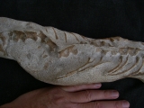 Tethysaurus mit Fisch im Maul