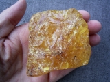Goldener Kopal aus Indonesien