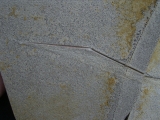 Flugsaurier Fluegel