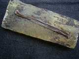 Vogelknochen, Grube Messel