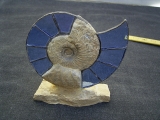 Ammoniten Kunstwerk 2
