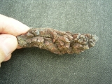 Reptilien Coprolith