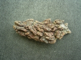 Reptilien Coprolith