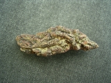Reptilien Coprolith