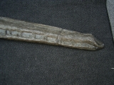 Steneosaurus Schaedel