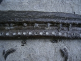 Steneosaur jaw