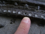 Steneosaurus Kiefer