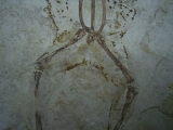 Frosch Fossil aus der Kreide