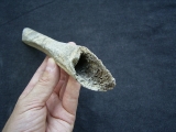 Cro Magnon Femurknochen