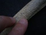 Cro Magnon Femurknochen