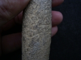 Cro Magnon Femurknochen