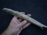 Cro Magnon Femurknochen