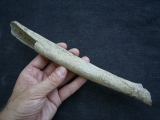 Cro Magnon Femurknochen