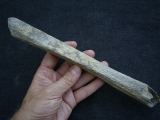 Cro Magnon Femurknochen