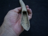 Cro Magnon Femurknochen