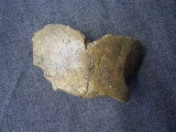 Skull fragment from Homo Neanderthalensis of Vindija, Croatia