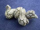Versteinerter Dinosaurierkot