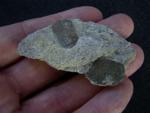Dino eggshells of Megaoolithus aureliensis on matrix