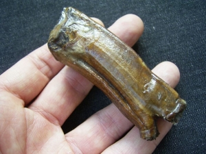 Horse tooth