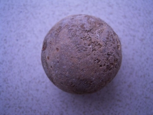 Turtle egg from Madagascar