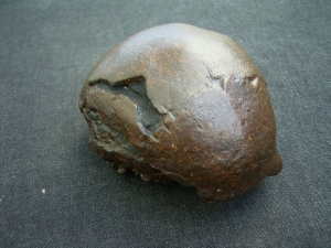 Homo Mojokertensis, Child skull from Java