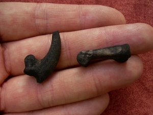 Eagle claw and footbone, Rancho La Brea tar pits