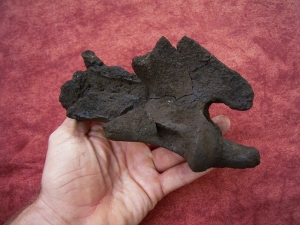 Sabercat - Smilodon - vertebrae, Rancho La Brea tar pits