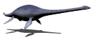 Elasmosaurus Wirbel aus der Kreidezeit # 1