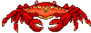 Crab Coeloma balticum