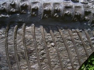 A 1 Ichthyosaurus with several embryos inside