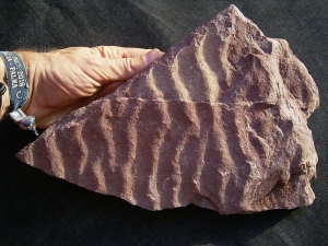 Wave ripples slab -veeery old.... precambrian age! Germany