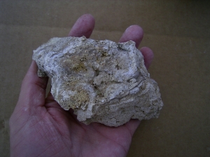 Stromatolith - kleine Stufe, naturbelassen