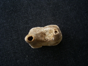 Cave bear tooth Ursus spelaeus