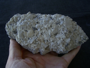 Captorhinus bonebed