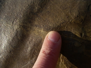 Große Arthropodenfährtenplatte aus dem Devon