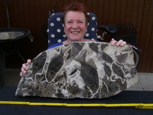 Fischplatte aus der Trias